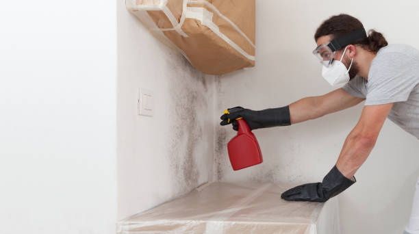 Professional Basement Mold Removal technician working in Bellmore, NY